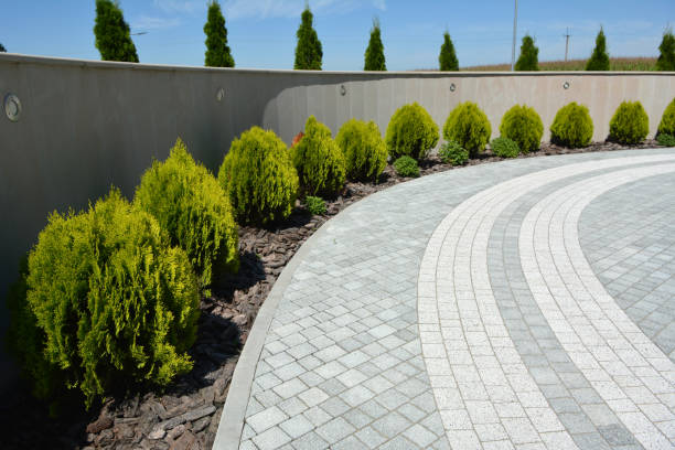 Best Residential Driveway Paver Services  in Colonial Heights, VA